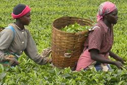 Food security 3 Food security 3