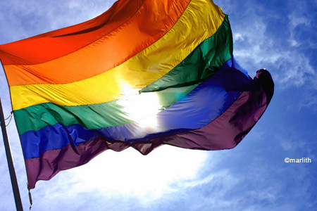 Illust: rainbow flag2, 79.9 ko, 450x300