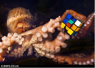 JPEG - 33.2 ko