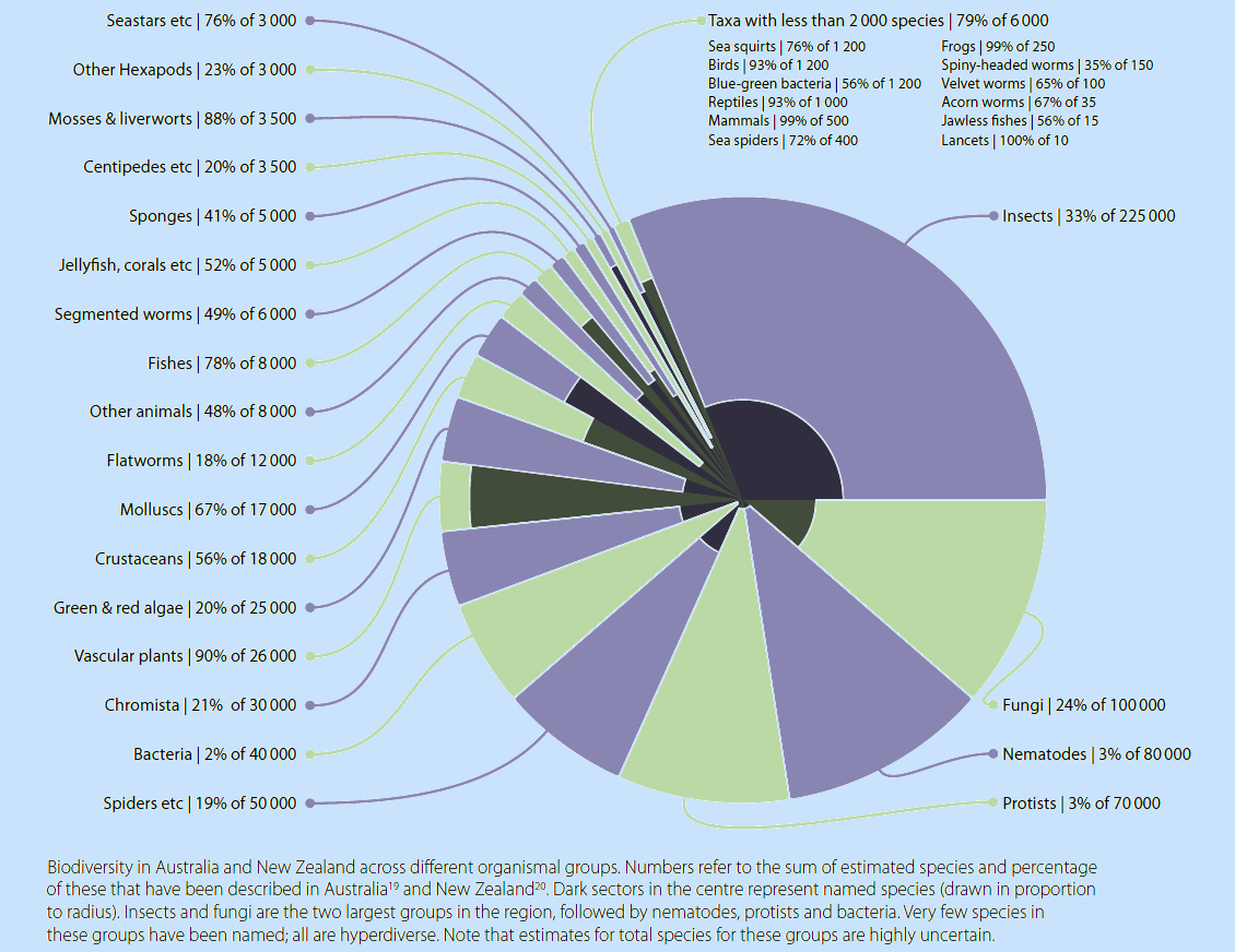 Illust: Biodiversité en (...), 240.2 ko, 1130x872