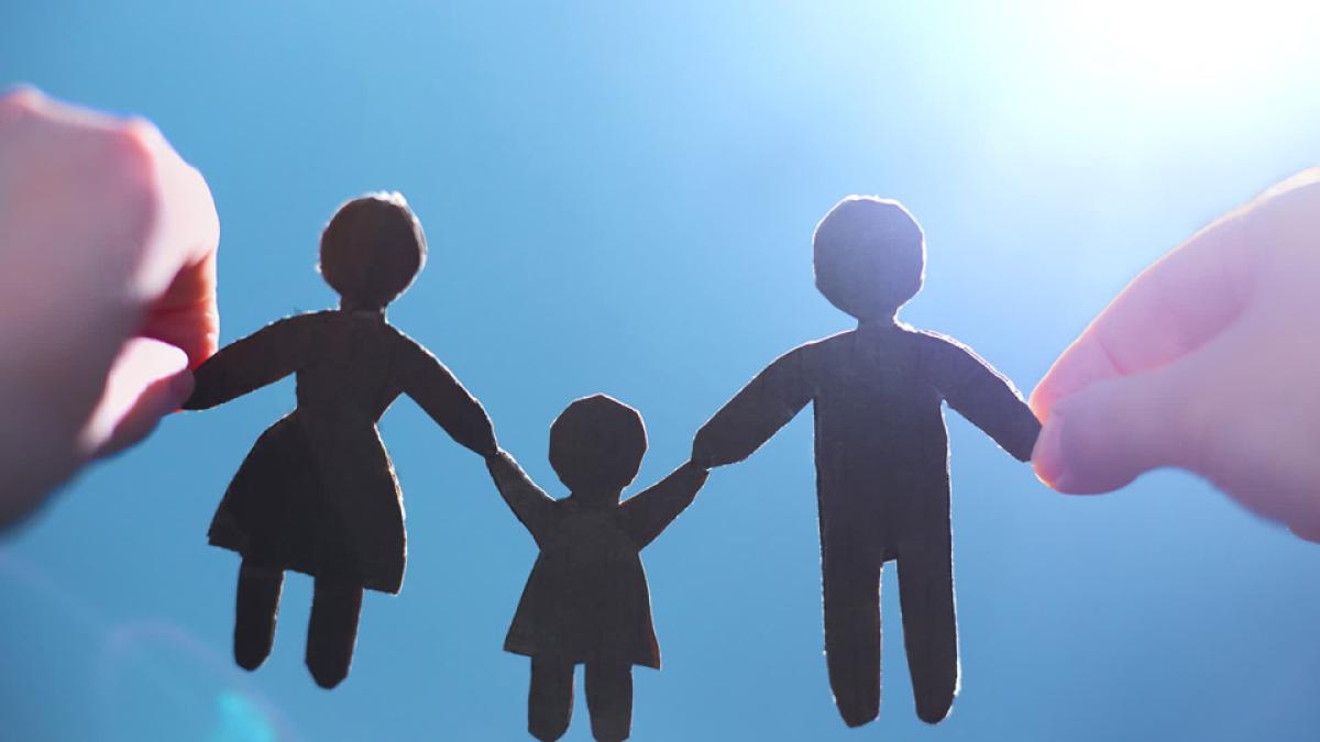 Family_Paper_Figure_high