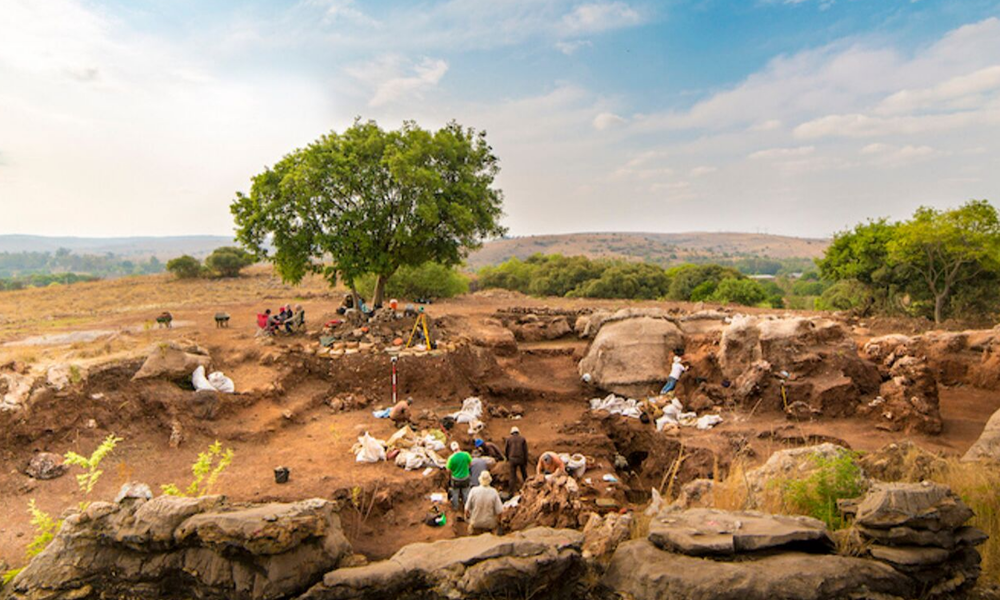 Image Diaporama - Site archéologique de Kromdraai en Afrique du (...)