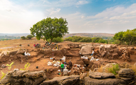 Image Diaporama - Site archéologique de Kromdraai en Afrique du (...)