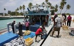Image Diaporama - Retour de pêche à l'île de Mamendhoo : le (...)