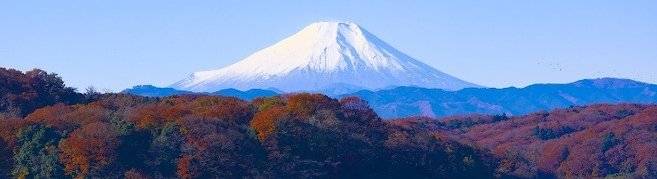 Japon