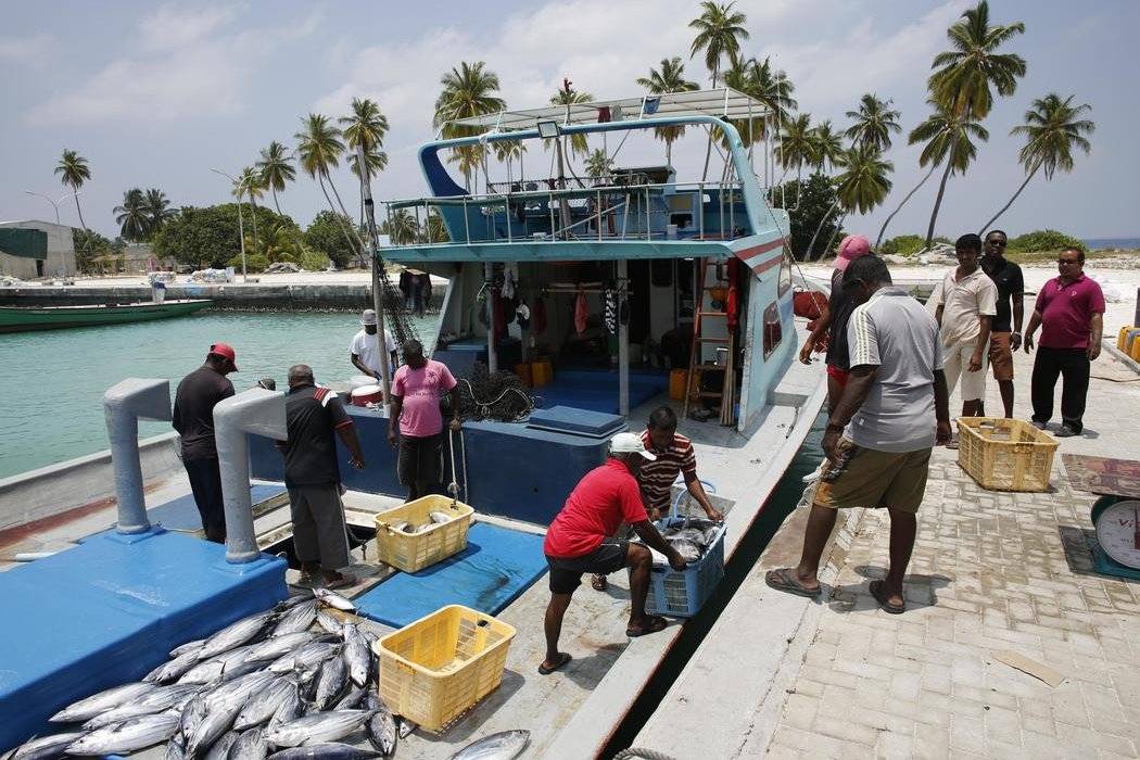 Image Diaporama - Retour de pêche à l'île de Mamendhoo : le (...)