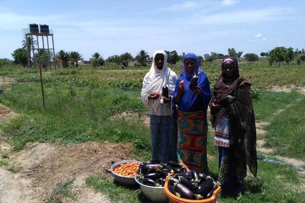 Image Diaporama - Femmes de la région Centrale (Togo) présentant (...)