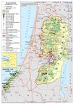 PALESTINE {JPEG}