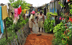 Image Diaporama - Photo : IMV