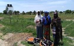 Image Diaporama - Femmes de la région Centrale (Togo) présentant (...)