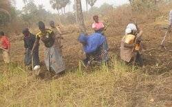 Image Diaporama - Femmes de la région Centrale (Togo) travaillant