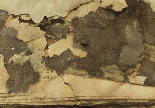 Illust: Liasse d'archives du, 58.9 ko, 500x350
